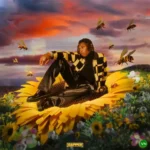 Rybeena – Rain